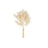 Clearance CASA ADDO Vaso Crema