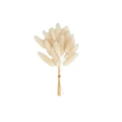 Clearance CASA ADDO Vaso Crema