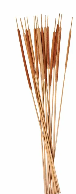 Hot CASA AFRIKA Vaso Naturale