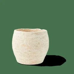 Cheap CASA ALVIN Cesto Portatutto Con Coperchio Marrone, Naturale
