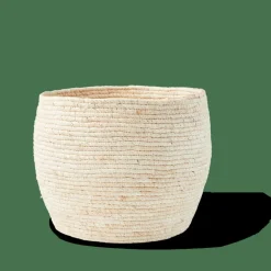 Cheap CASA ALVIN Cesto Portatutto Con Coperchio Marrone, Naturale