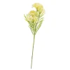 Cheap CASA BERRY Rametto Erbe Giallo