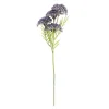 Best CASA BERRY Ramo Da Bacca Rosso