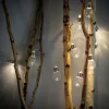Sale CASA BULB Filo Luminoso Solare 10 Leds Trasparente