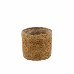 Flash Sale CASA BUXUS Pianta Vari Colori