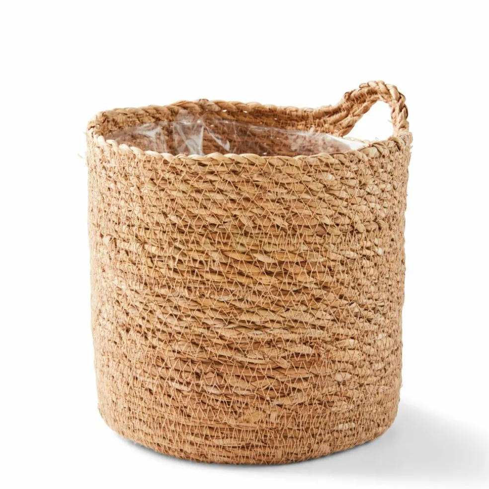 Flash Sale CASA BUXUS Pianta Vari Colori