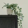 New CASA CALATHEA Pianta Sospesa Grigio, Verde, Viola