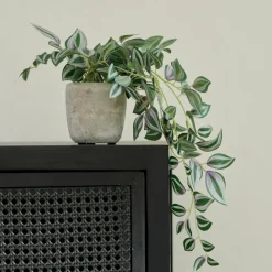 New CASA CALATHEA Pianta Sospesa Grigio, Verde, Viola