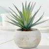 Best Sale CASA CEMENT Succulente Finto In Vaso Grigio