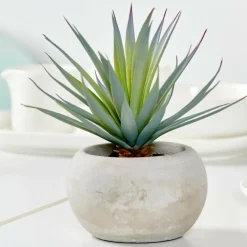 Best Sale CASA CEMENT Succulente Finto In Vaso Grigio