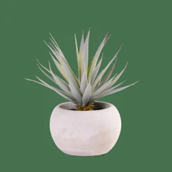 Best Sale CASA CEMENT Succulente Finto In Vaso Grigio