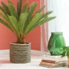 Sale CASA CYCAS Palma Verde