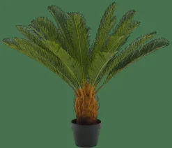 Sale CASA CYCAS Palma Verde