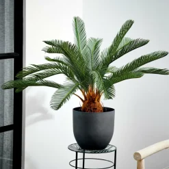 Sale CASA CYCAS Palma Verde