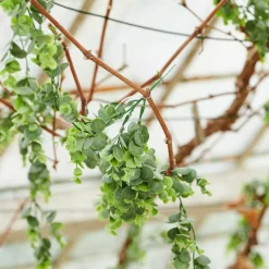 Clearance CASA DAHLIA Ramo Fiorito Crema