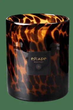 Store CASA ESCAPE BLACK OUDH Candela Profumata In Vaso Nero, Marrone, Ocra