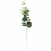 Store CASA EUCALYPTUS Ghirlanda Verde
