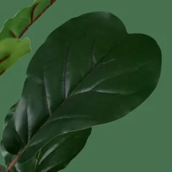 Best CASA FIGI Nero, Verde Scuro