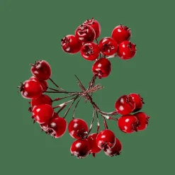 Outlet CASA FOAM Decorazione Cinorrodo Rosso