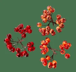 Outlet CASA FOAM Decorazione Cinorrodo Rosso