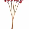 Fashion CASA FOAM Zucche Decorative Set Di 12 Rosso