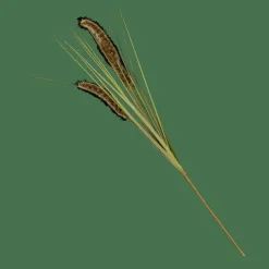 Shop CASA GRASS Canna Palustre Artificiale Verde