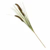 Best Sale CASA GRASS Mazzo Di Erba Rosso