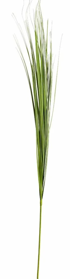 Best Sale CASA GRASS Mazzo Di Erba Rosso