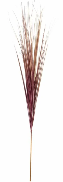 Clearance CASA GRASS Mazzo Di Erba Verde