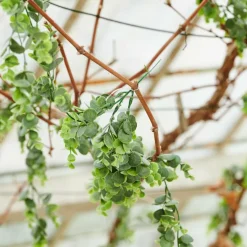 Flash Sale CASA GREEN Ramo Artificiale Verde