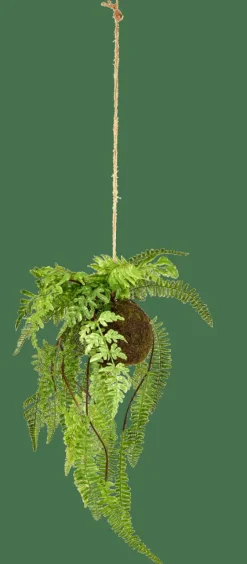 Discount CASA GREENERY Vaso Sospeso Con Felce Verde