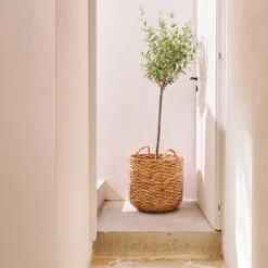 Best Sale CASA JONI Cesta Naturale