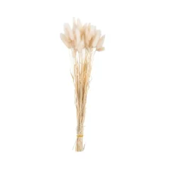 Cheap CASA LAGURUS Piumino Beige