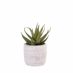 Flash Sale CASA LARGO Vaso Per Piante Nero