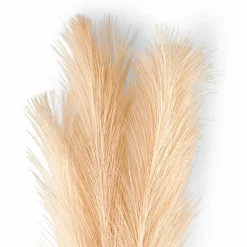 Clearance CASA LINDE Vaso Beige