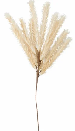 Clearance CASA LINDE Vaso Beige