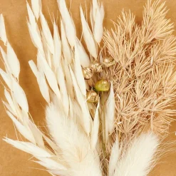Store CASA MIA Decorazioni Secche Beige