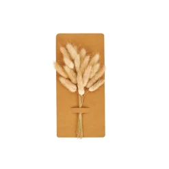 Outlet CASA MINA Deco Essiccata Marrone