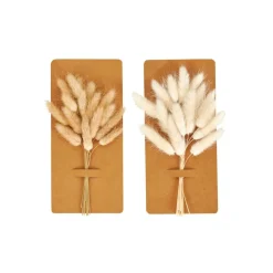 Outlet CASA MINA Deco Essiccata Marrone
