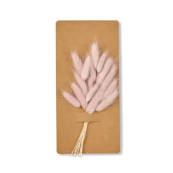 Discount CASA MINA Deco Essiccata Rosa