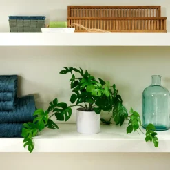 Flash Sale CASA MONSTERA Pianta Vari Colori, Bianco, Verde