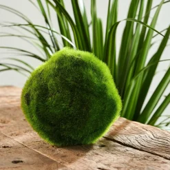 New CASA MOSS Sfera Di Muschio Verde