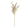 Cheap CASA MOTHERWORT Rametto Erbe Dorato