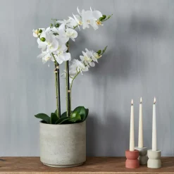 Outlet CASA ORCHID Orchidea In Vaso Bianco