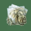 Best Sale CASA PALMEN Set Di 20 Tovaglioli Verde