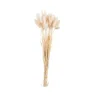 Cheap CASA PAMPLONA Vaso Crema