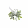 Cheap CASA PIM Filo Luminoso 25 Luci Led Verde