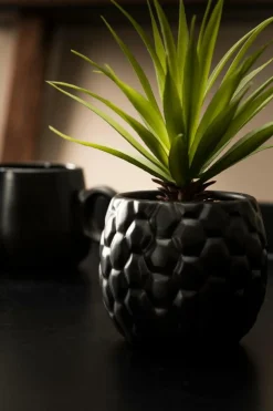 Flash Sale CASA PINA Pianta D'ananas In Vaso Nero