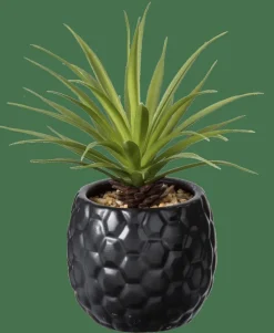 Flash Sale CASA PINA Pianta D'ananas In Vaso Nero