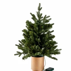 Hot CASA PINUS Ramoscello Natalizio Rosso, Verde